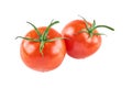 Two resh tomatoes isolated on white background. Background of organic food Royalty Free Stock Photo