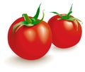 Two tomatoes vegetables.Vector Royalty Free Stock Photo