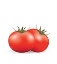 Two tomatoes on white background Royalty Free Stock Photo