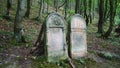 Two tombstones in old cemetery Royalty Free Stock Photo
