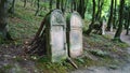 Two tombstones in old cemetery Royalty Free Stock Photo