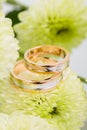 Two-tone wedding rings with green flowers Royalty Free Stock Photo