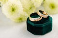 Two-tone wedding rings in green velvet jewelry box Royalty Free Stock Photo