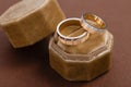 Two-tone wedding rings in velvet jewelry box Royalty Free Stock Photo