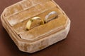 Two-tone wedding rings in velvet jewelry box Royalty Free Stock Photo