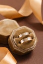 Two-tone wedding rings in velvet jewelry box Royalty Free Stock Photo