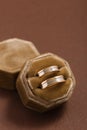 Two-tone wedding rings in velvet jewelry box Royalty Free Stock Photo