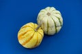 Two-toned speckled round ornamental pumpkins