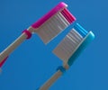 Two toothbrush