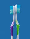 Two toothbrushes arranged like couple standing back to back