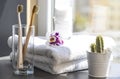 Two toothbrushes on the background of the window in the bathroom. Hygiene care concept Royalty Free Stock Photo