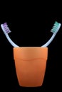 Two Toothbrushes in the Cup Royalty Free Stock Photo