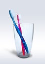 Two toothbrushes on a glass Royalty Free Stock Photo