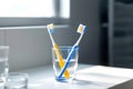Two toothbrushes are in a glass of water Royalty Free Stock Photo