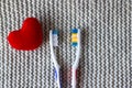 Two toothbrushes and a red heart on a knitted gray background. Two lovers live together. Love, family concept and valentines day, Royalty Free Stock Photo