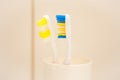 Two toothbrushes in the white box, close up Royalty Free Stock Photo