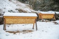 Two top bar hives covered in snow in winter.