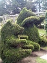 Two Topiary Bears Royalty Free Stock Photo