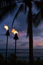 Two tropical torches Royalty Free Stock Photo