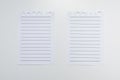 Two torn lined pages from a notebook on a white background Royalty Free Stock Photo