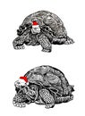 Two tortoises in santa claus red hat on white background, vector new year element,graphics