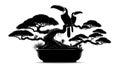 Two toucans perch on the branches of a stylized bonsai tree w Royalty Free Stock Photo