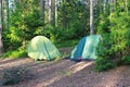 two touring green tents in a mixed coniferous forest.