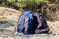 Two tourist backpacks on the glade in pine forest Royalty Free Stock Photo