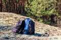 Two tourist backpacks on the glade in pine forest Royalty Free Stock Photo