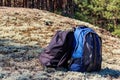 Two tourist backpacks on the glade in pine forest Royalty Free Stock Photo