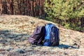 Two tourist backpacks on the glade in pine forest Royalty Free Stock Photo