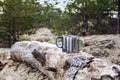 Two tourist metal mugs on a log in the forest. Hiking, traveling and active lifestyle concept