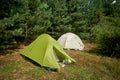 Two tourist tents in the forest. Green and white cover. Active rest in the summer on the nature.