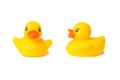 Two toy yellow rubber ducks for swimming, isolated on a white background Royalty Free Stock Photo