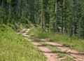 Two-track hiking narrow dirt road trekking