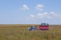 Two tractors collect sage in the field Royalty Free Stock Photo