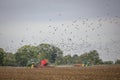 Two tractors working a field while srrounded by gulls. Royalty Free Stock Photo
