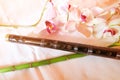 Two traditional chinese bamboo dizi flutes