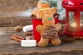 Two traditional homemade gingerbread man Royalty Free Stock Photo