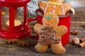 Two traditional homemade gingerbread man Royalty Free Stock Photo