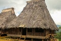 Two traditional houses in the Wologai village near Kelimutu in East Nusa Tenggara