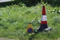 Two Traffic Cones on Grass