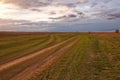 Two trails diverge in a grassy field with distant trees and overcast skies