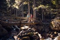 Two travel hikers with backpack walking on the wood bridge while looking the landscape in the forest