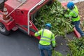 Two tree trimmers feeding woodchipper