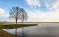 Two trees with bare branches on a spit of land in the water Royalty Free Stock Photo