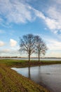 Two trees with bare branches on a spit of land in the water Royalty Free Stock Photo