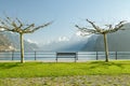 Two trees and bench in small park in Brunnen, Switzerland