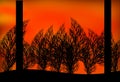 Two Trees and Bushes in a Sunset