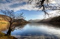 Two trees by Ennerdale Water Royalty Free Stock Photo